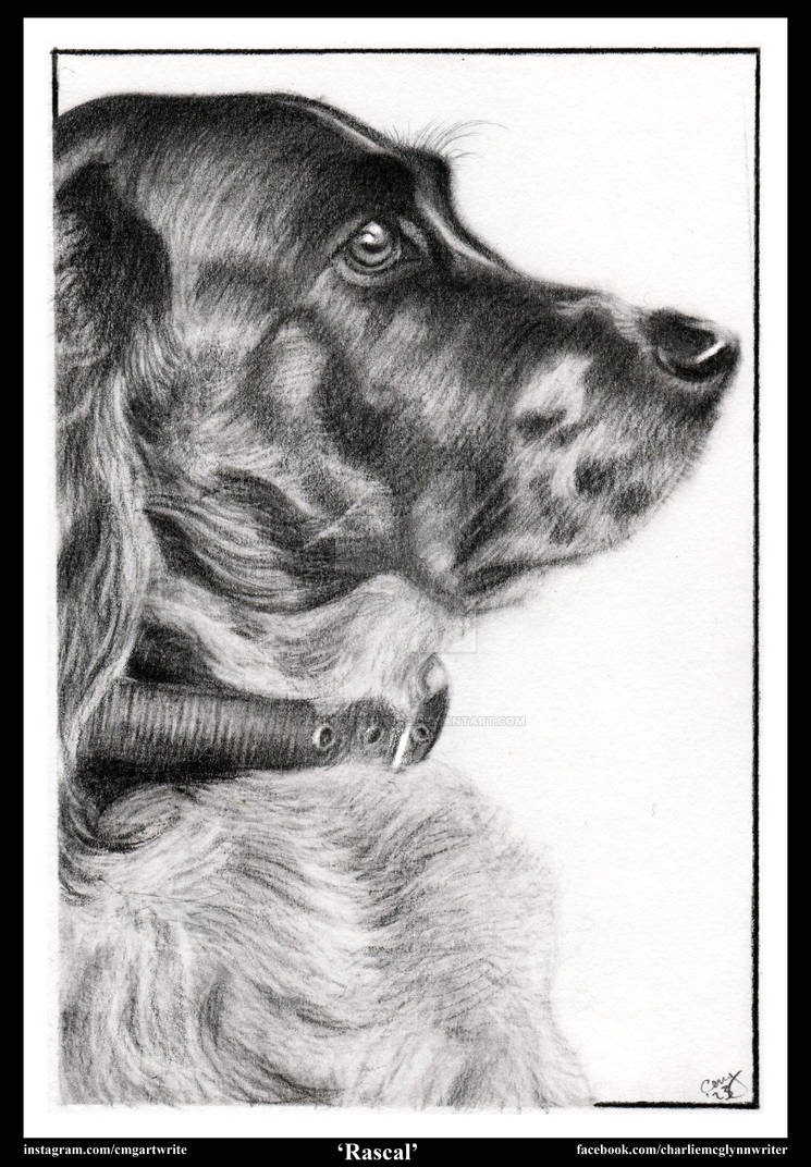 Rascal by CarlosOscuroDC on DeviantArt