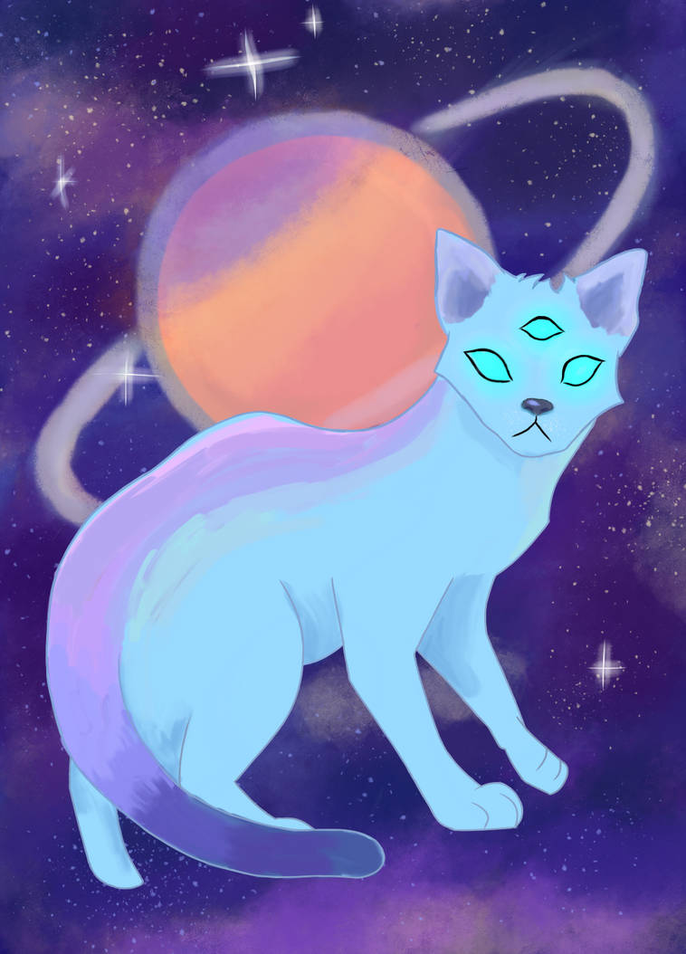 Star Cat Color Star cat by MoonlightML10 on DeviantArt