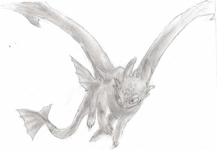 toothless first doodle by Layalu on DeviantArt