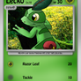 Lecko - Card