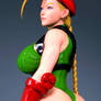 Cammy 001