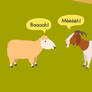 The sheep and goat go ...