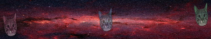 Galaxy Cats