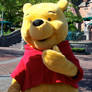 Winnie the Pooh