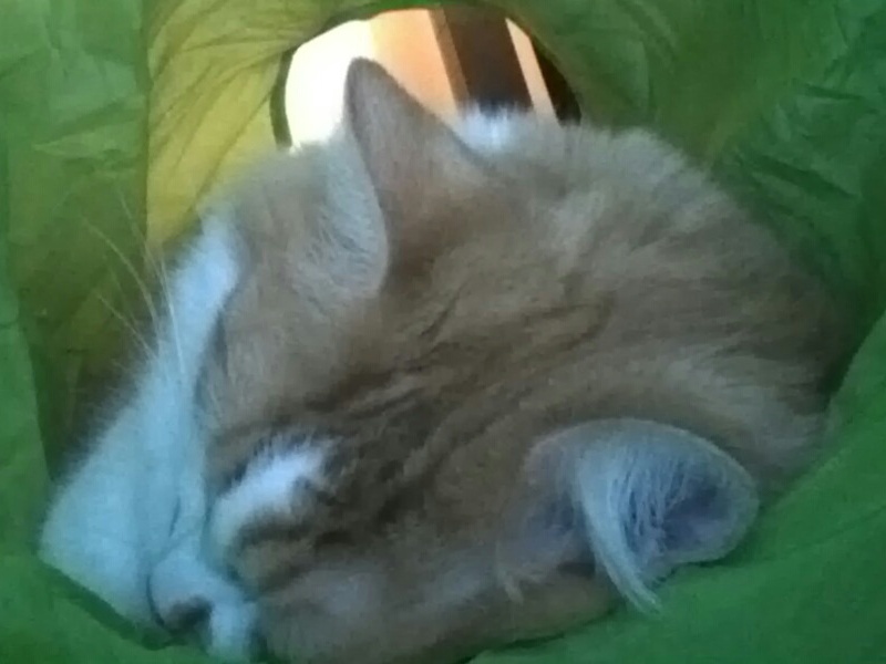 Charming's Tubular Nap by uguardian