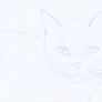 sketch: Cat