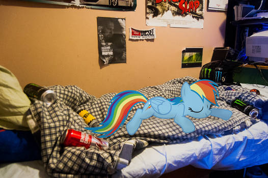Dash passed out | Pony IRL