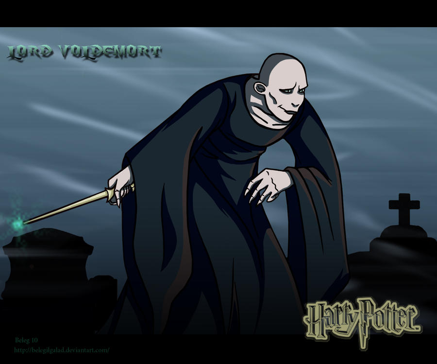 Harry Potter Meme - Voldemort by Oceanhell on DeviantArt