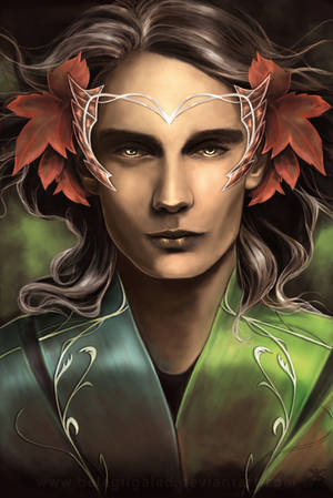 King Thranduil by Belegilgalad