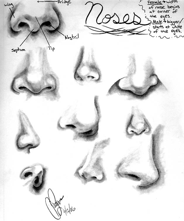 Featured image of post Male Nose Drawing Reference How its anatomy can be simplified to forms and lines and how to draw it
