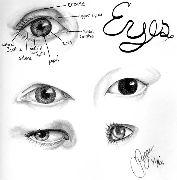 Eye References