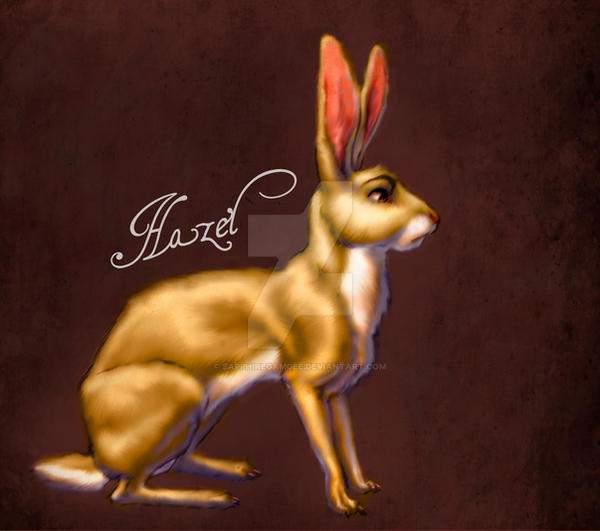 Hazel by SapphireGamgee on DeviantArt