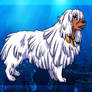 Kida- Komondor