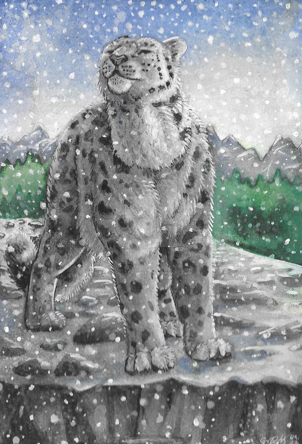 Deviantart Snow First Snow by gnarly-bones on DeviantArt