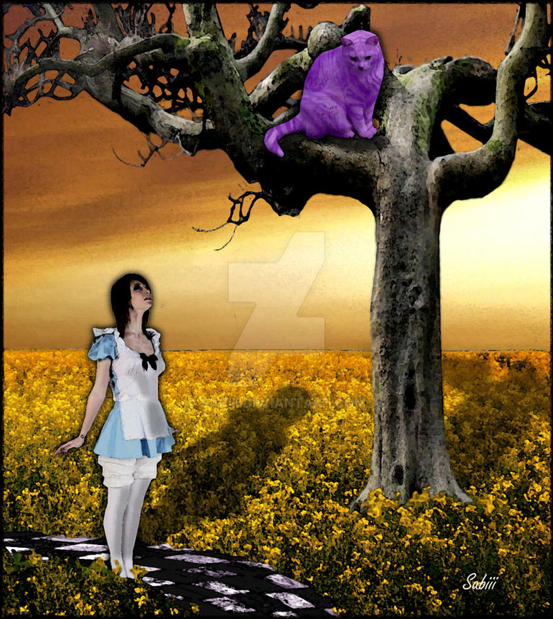 Alice and the cheshire cat