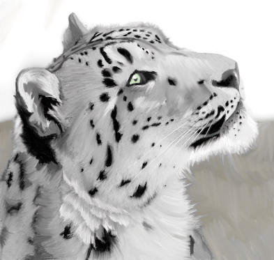 Snow Leopard