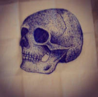 Skull on a tissue