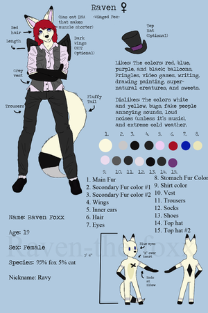 Raven Reference Sheet 2013 by Raven-the-Foxx