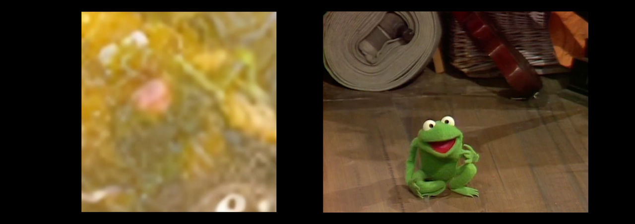 Muppet Movie Finale Matching 15 by RednocRetep on DeviantArt
