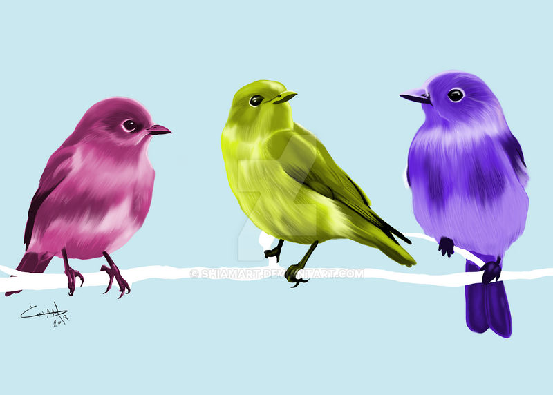 Birds Deviantart Birds by Shiamart on DeviantArt