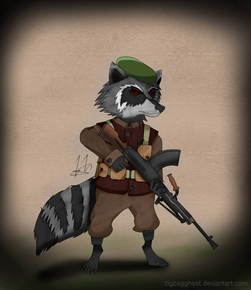 Raccoon Commando by ZigZagGhost on DeviantArt