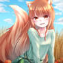 Spice And Wolf