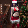 Christmas Templar Assassin