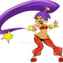 Shantae hair whip 2