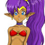 Shantae detailed