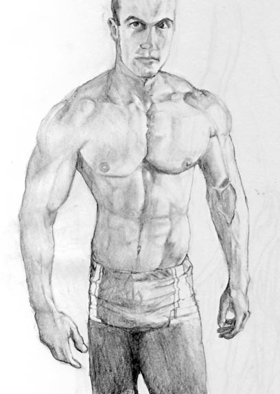 Muscle Sketch Entry