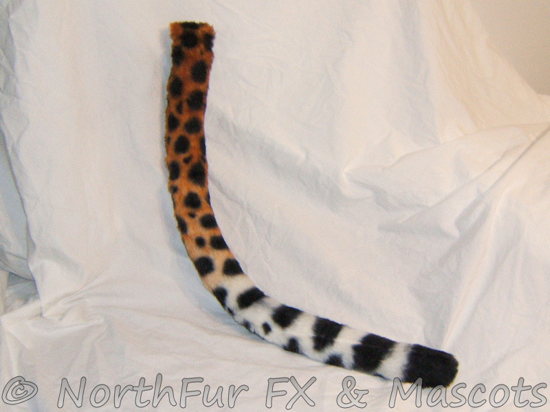 Airbrushed tail