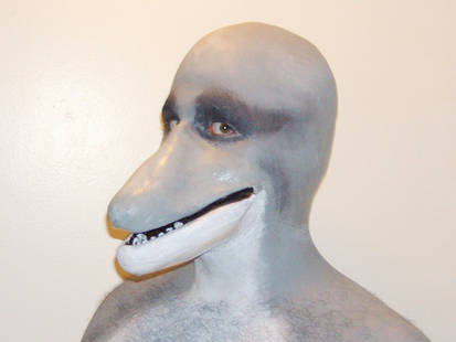 Dolphin Prosthetic