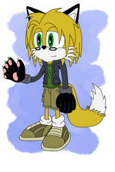 Sonicsona: Matt the Red Fox