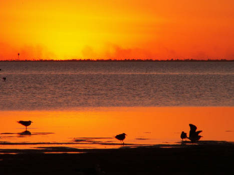 South Padre Beach - Sunset