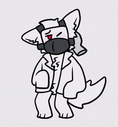Dr.k pet gif