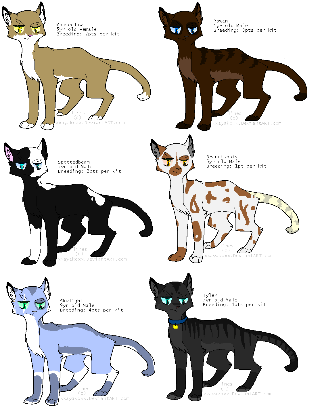 Mixed Short Haired Cat Breeders_01_OPEN