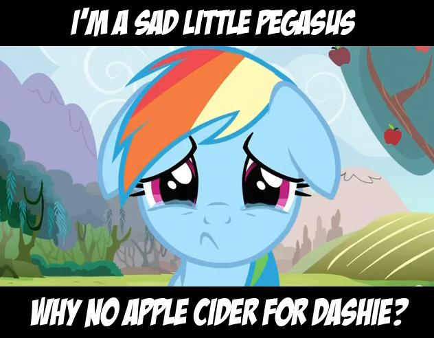 MLP: Sad Dashie