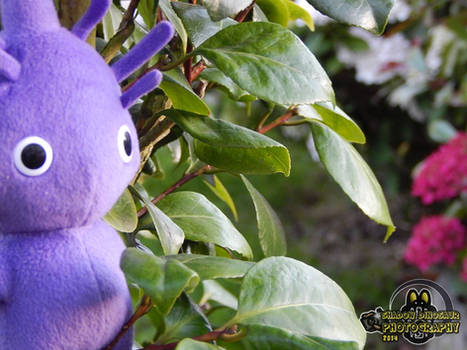 Purple Pikmin in the Forest of Hope - [SDN]