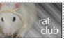 stamp: rat club