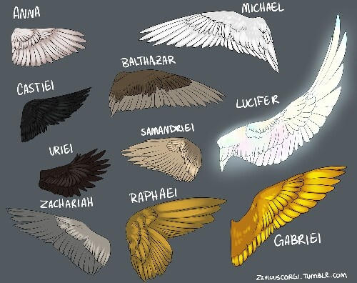 Angel Wings by Archangel-Wings on DeviantArt