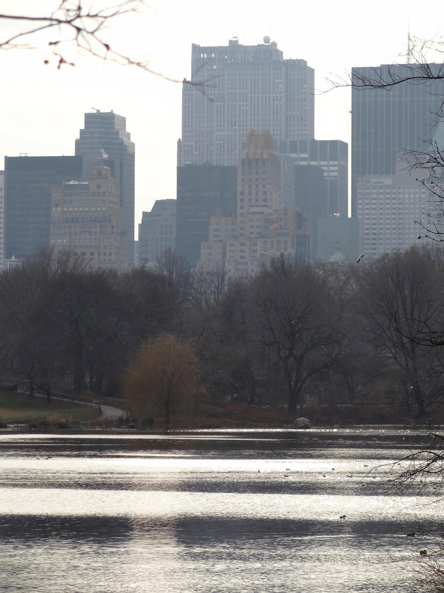 New York - Central Park