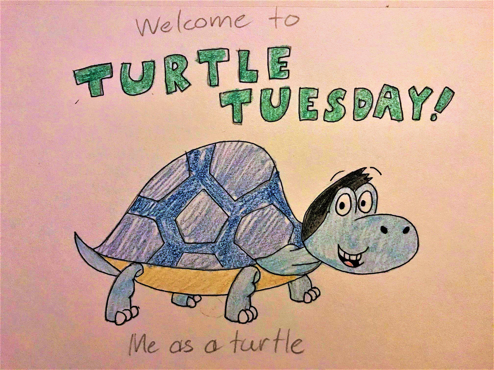Turtle Tuesday Peter (Me) by AustisticChildMan on DeviantArt