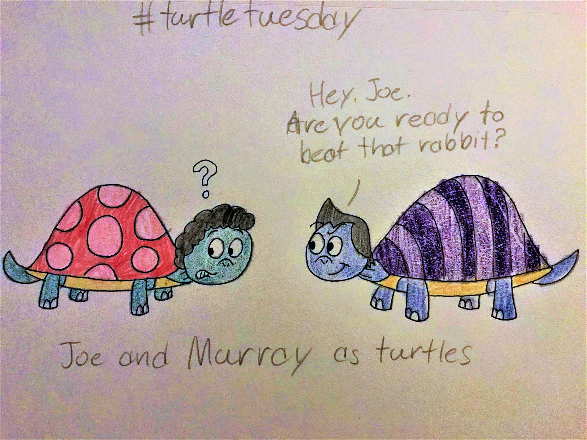 Turtle Shell Tuesday Turtle Tuesday: Joe and Murray by AustisticChildMan on DeviantArt