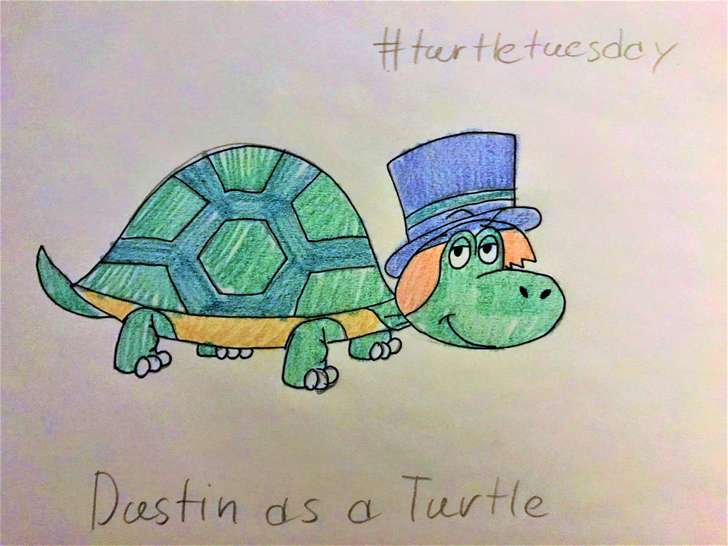 Turtle Shell Tuesday Turtle Tuesday: Dustin by AustisticChildMan on DeviantArt