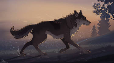 New profile banner - sunset walk