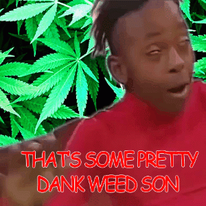 That's Some Pretty Dank Weed, Son (gif) by HuffytheMagicDragon on DeviantArt