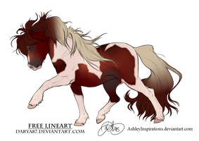 Red Chestnut Tobiano