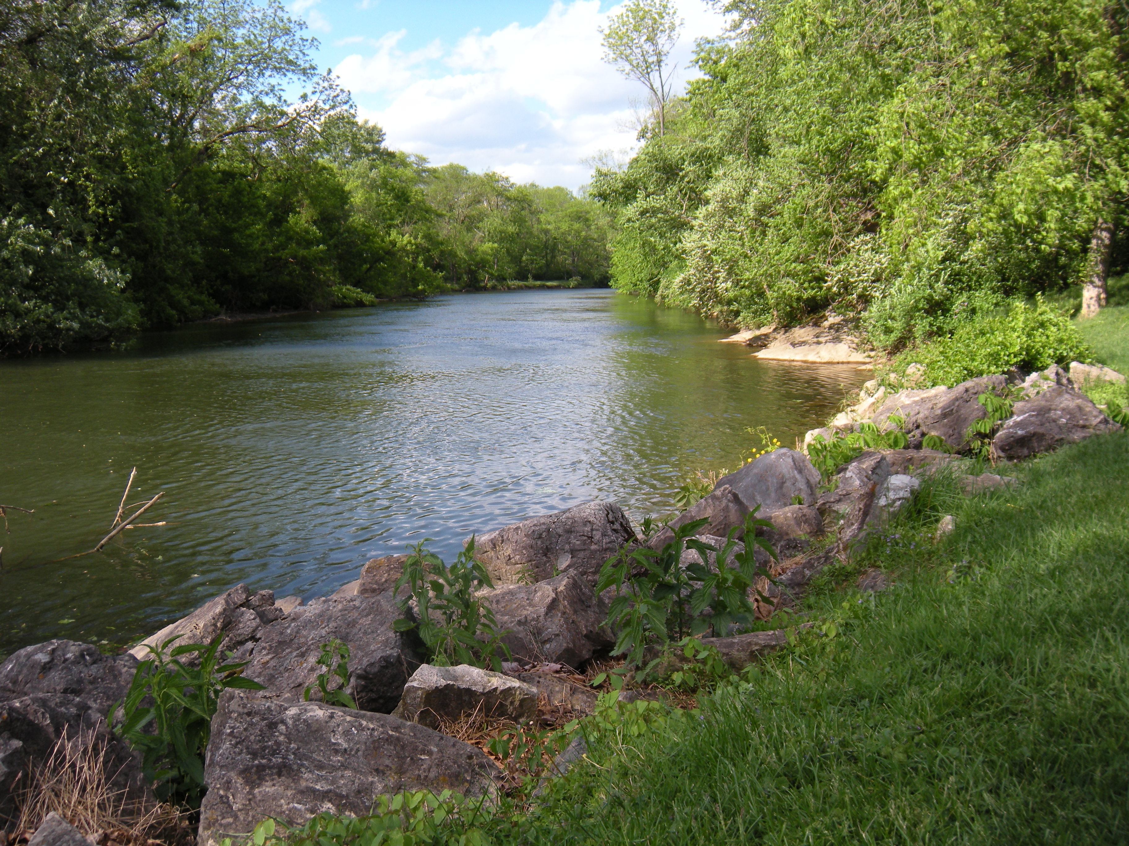 The Rocky River Coast