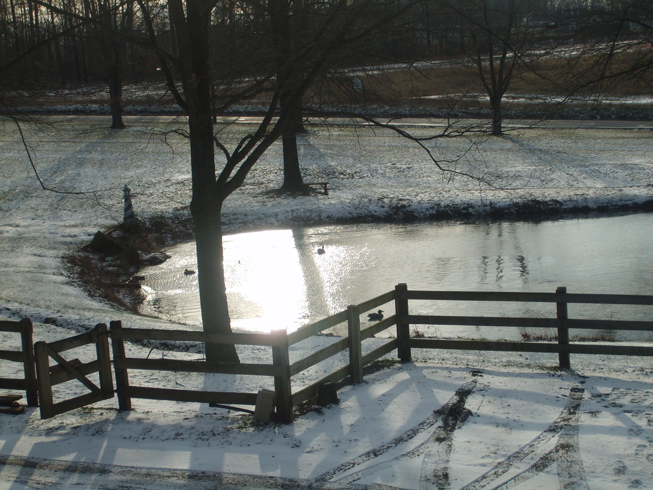 Front Yard Snow 03