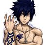 Gray Fullbuster